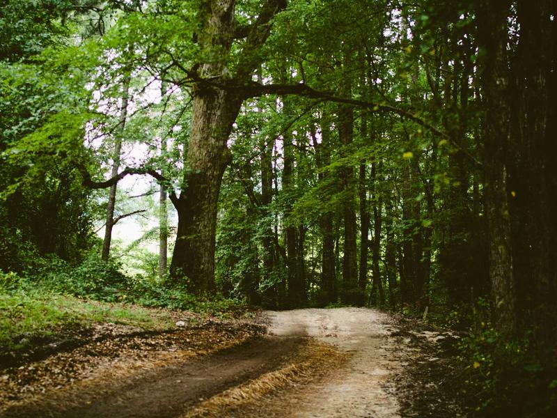 sudoku brain exercise screenshot 3