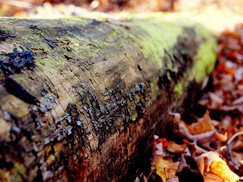 sudoku guest mode screenshot 3